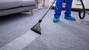 carpet bio cleaning carpet bio cleaning